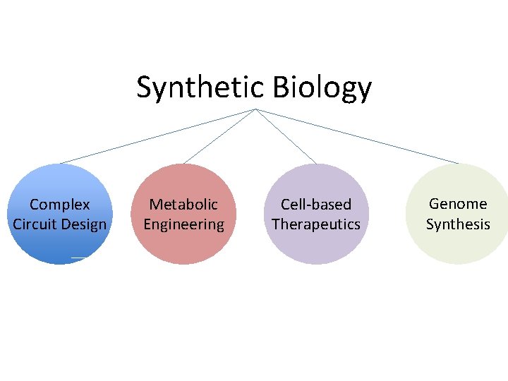 Synthetic Biology Complex Circuit Design Metabolic Engineering Cell-based Therapeutics Genome Synthesis 