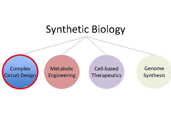 Synthetic Biology Complex Circuit Design Metabolic Engineering Cell-based Therapeutics Genome Synthesis 