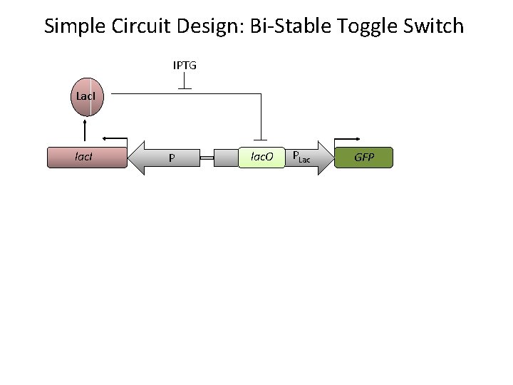 Simple Circuit Design: Bi-Stable Toggle Switch IPTG Lac. I lac. I P lac. O