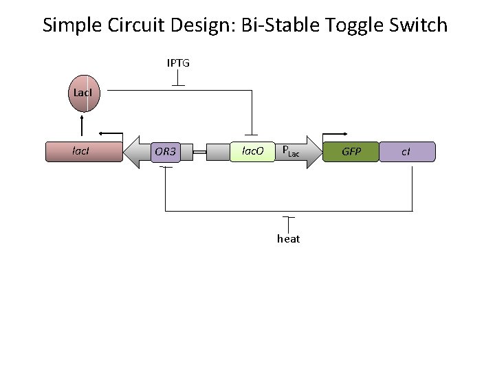 Simple Circuit Design: Bi-Stable Toggle Switch IPTG Lac. I lac. I POR 3 lac.