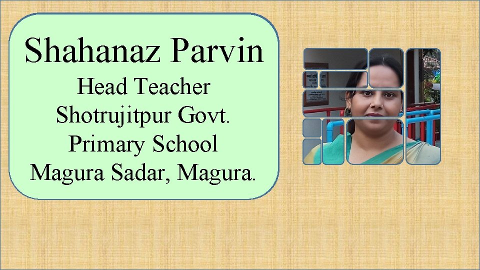 Shahanaz Parvin Head Teacher Shotrujitpur Govt. Primary School Magura Sadar, Magura. 