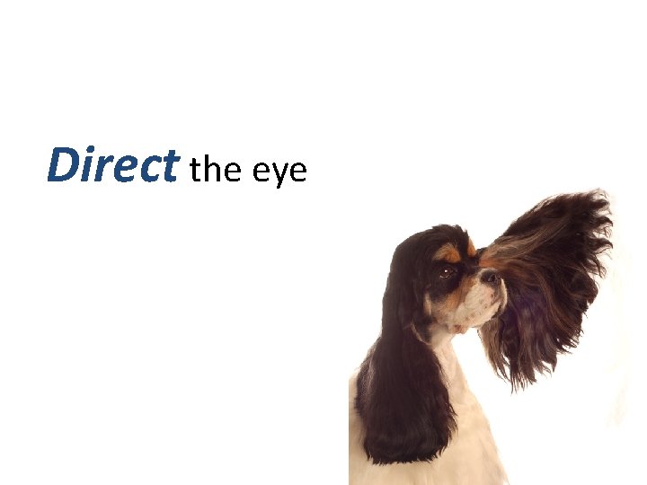 Direct the eye 