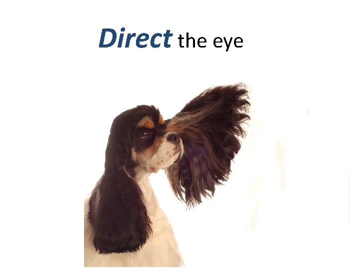Direct the eye 