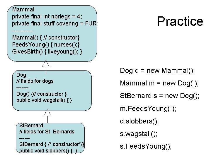 Mammal private final int nbrlegs = 4; private final stuff covering = FUR; -----Mammal()