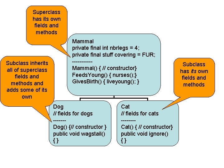 Superclass has its own fields and methods Subclass inherits all of superclass fields and