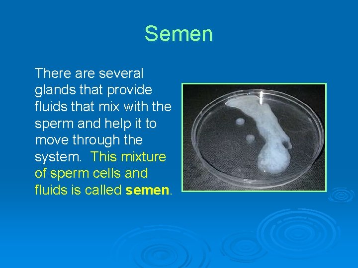 Semen There are several glands that provide fluids that mix with the sperm and