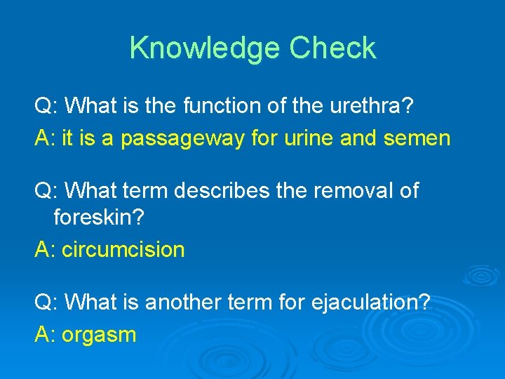 Knowledge Check Q: What is the function of the urethra? A: it is a