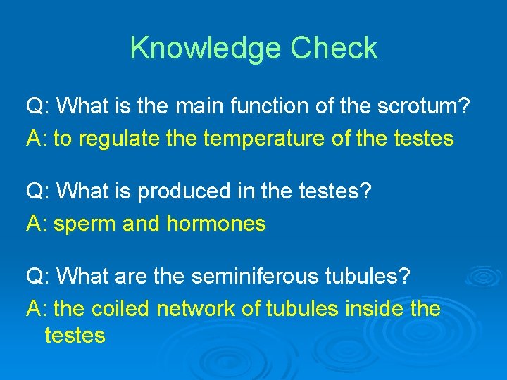 Knowledge Check Q: What is the main function of the scrotum? A: to regulate