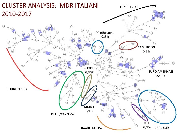 CLUSTER ANALYSIS: MDR ITALIANI 2010 -2017 LAM 13, 2 % M. africanum 0, 9