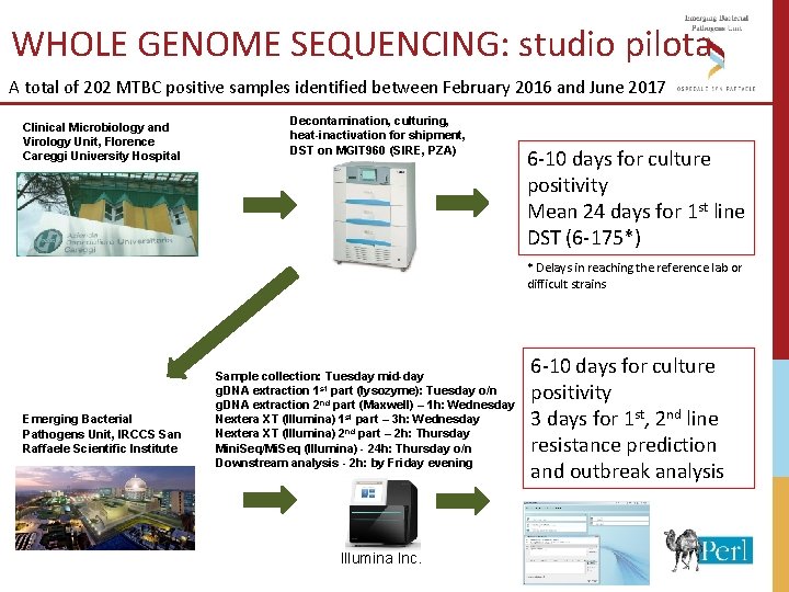 WHOLE GENOME SEQUENCING: studio pilota A total of 202 MTBC positive samples identified between