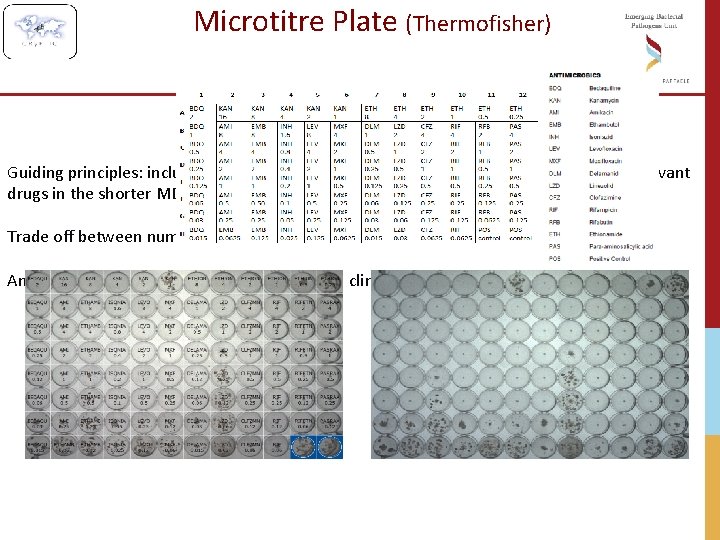 Microtitre Plate (Thermofisher) Guiding principles: inclusion of first-, second- and third-line drugs, repurposed drugs,