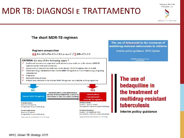 MDR TB: DIAGNOSI E TRATTAMENTO TB incidence DS-TB MDR-TB XDR-TB WHO, Global TB Strategy