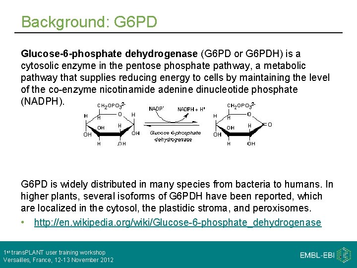 Background: G 6 PD Glucose-6 -phosphate dehydrogenase (G 6 PD or G 6 PDH)