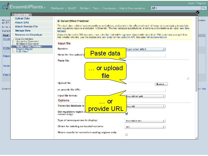 Paste data … or upload file … or provide URL 