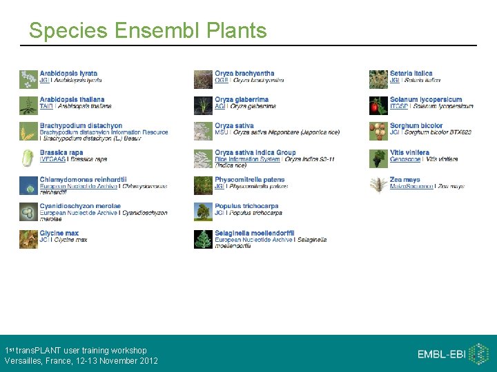 Species Ensembl Plants 1 st trans. PLANT user training workshop Versailles, France, 12 -13