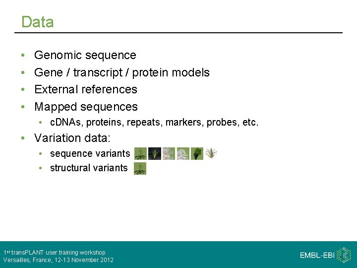 Data • • Genomic sequence Gene / transcript / protein models External references Mapped