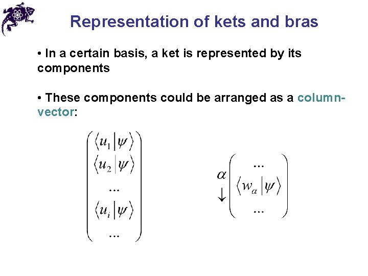 Representation of kets and bras • In a certain basis, a ket is represented