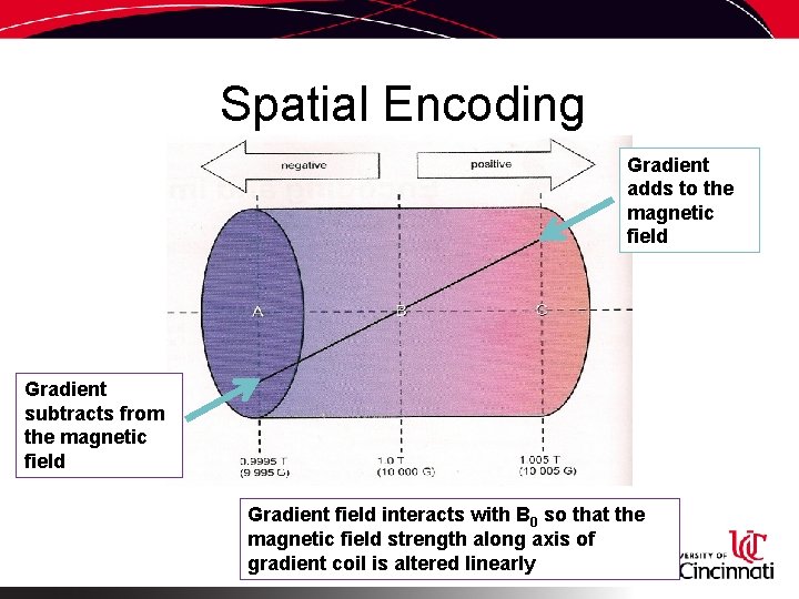 Spatial Encoding Gradient adds to the magnetic field Gradient subtracts from the magnetic field