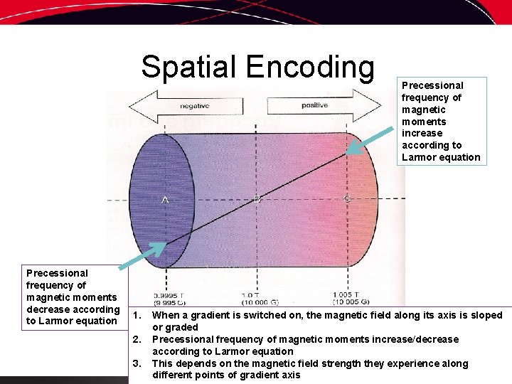 Spatial Encoding Precessional frequency of magnetic moments decrease according to Larmor equation 1. 2.