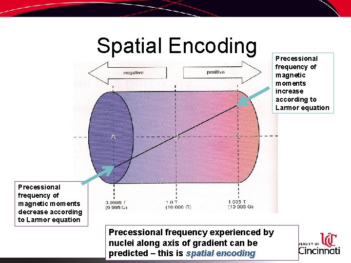 Spatial Encoding Precessional frequency of magnetic moments decrease according to Larmor equation Precessional frequency