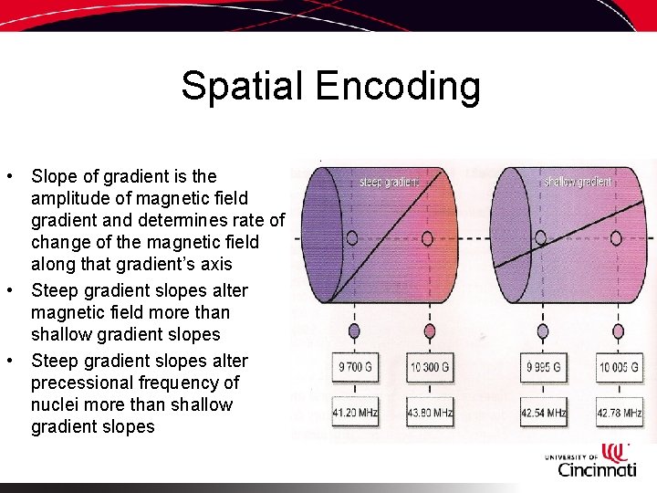 Spatial Encoding • Slope of gradient is the amplitude of magnetic field gradient and