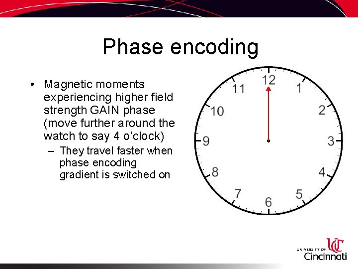 Phase encoding • Magnetic moments experiencing higher field strength GAIN phase (move further around