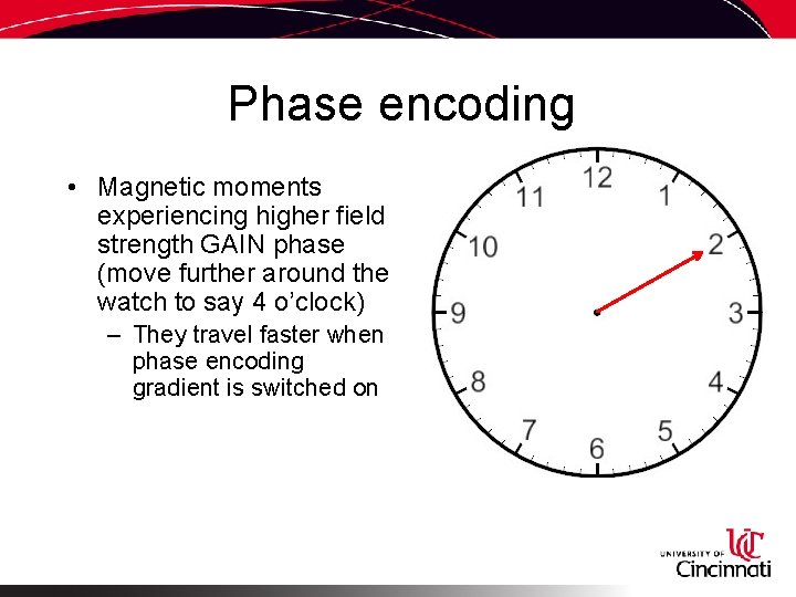 Phase encoding • Magnetic moments experiencing higher field strength GAIN phase (move further around