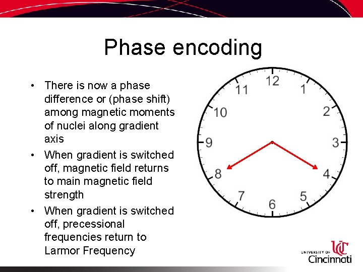 Phase encoding • There is now a phase difference or (phase shift) among magnetic