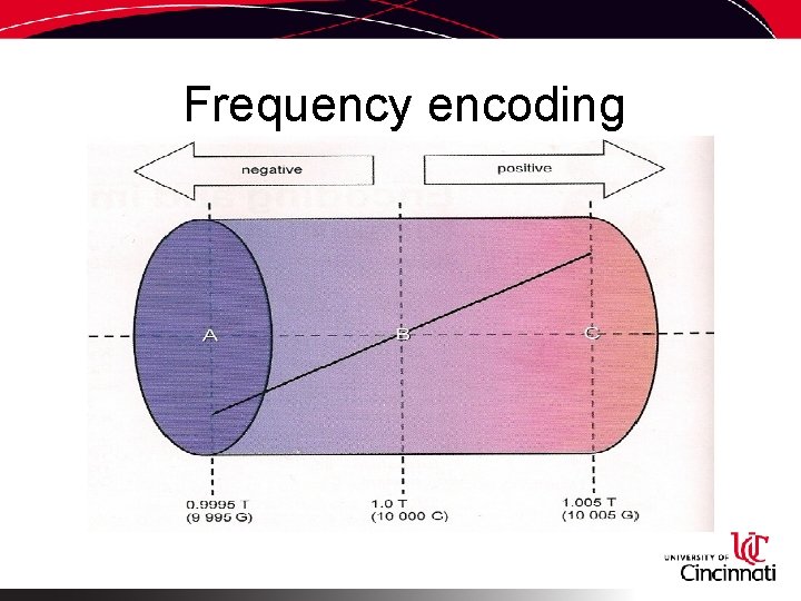 Frequency encoding 