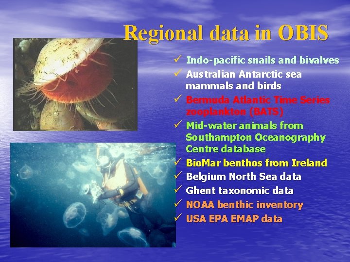 Regional data in OBIS ü Indo-pacific snails and bivalves ü Australian Antarctic sea ü