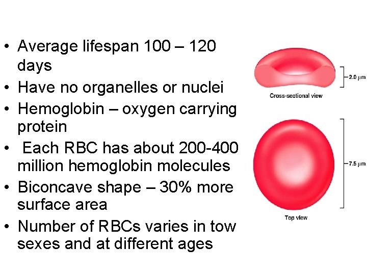  • Average lifespan 100 – 120 days • Have no organelles or nuclei