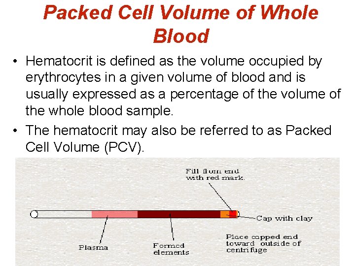 Packed Cell Volume of Whole Blood • Hematocrit is defined as the volume occupied