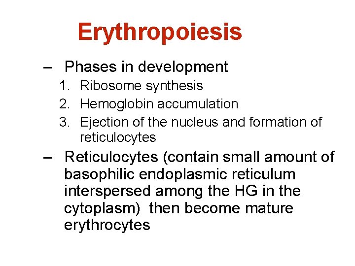 Erythropoiesis – Phases in development 1. Ribosome synthesis 2. Hemoglobin accumulation 3. Ejection of