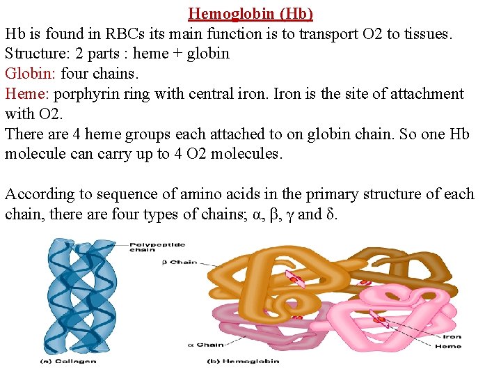 Hemoglobin (Hb) Hb is found in RBCs its main function is to transport O