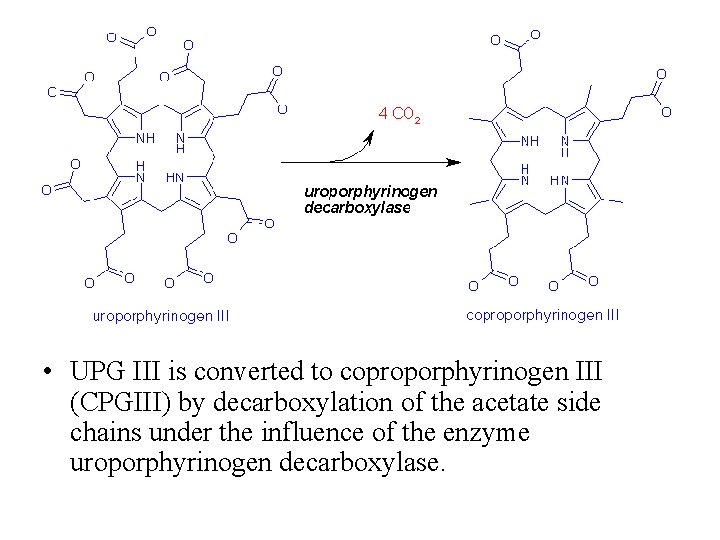  • UPG III is converted to coproporphyrinogen III (CPGIII) by decarboxylation of the