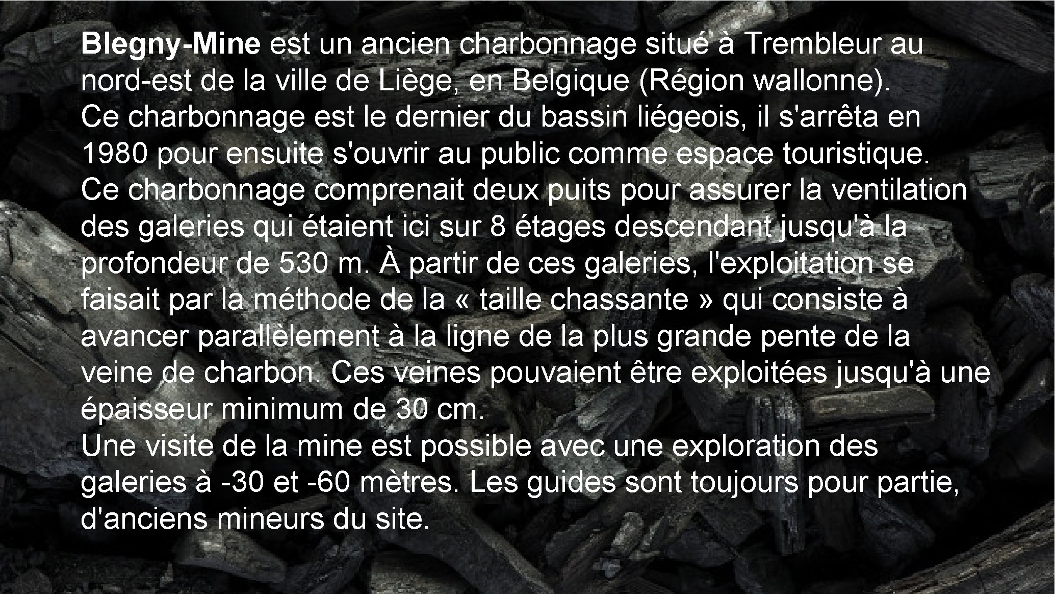 Blegny-Mine est un ancien charbonnage situé à Trembleur au nord-est de la ville de