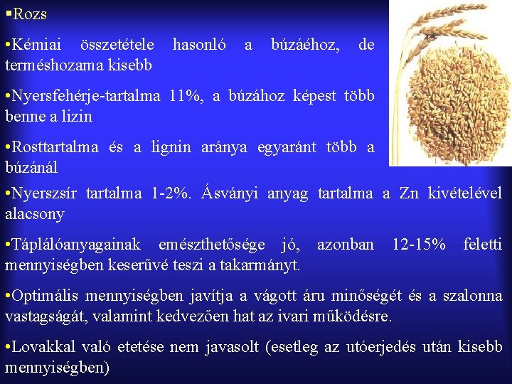 §Rozs • Kémiai összetétele terméshozama kisebb hasonló a búzáéhoz, de • Nyersfehérje-tartalma 11%, a