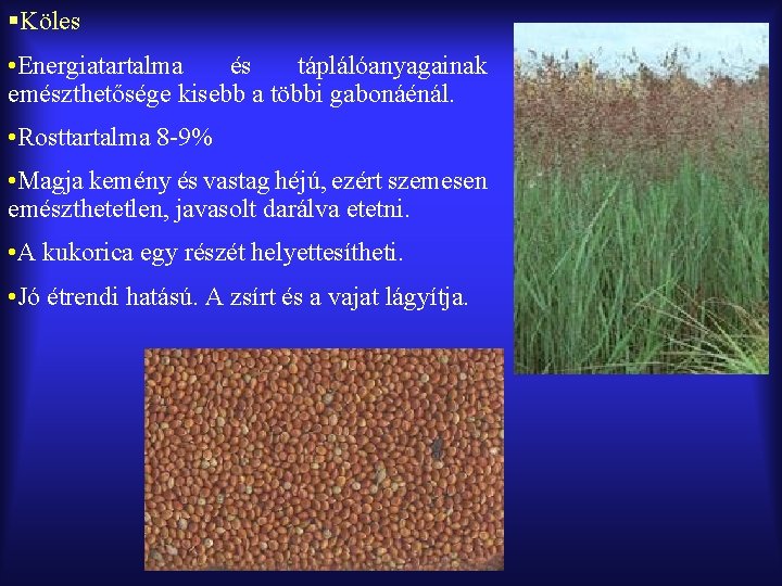 §Köles • Energiatartalma és táplálóanyagainak emészthetősége kisebb a többi gabonáénál. • Rosttartalma 8 -9%