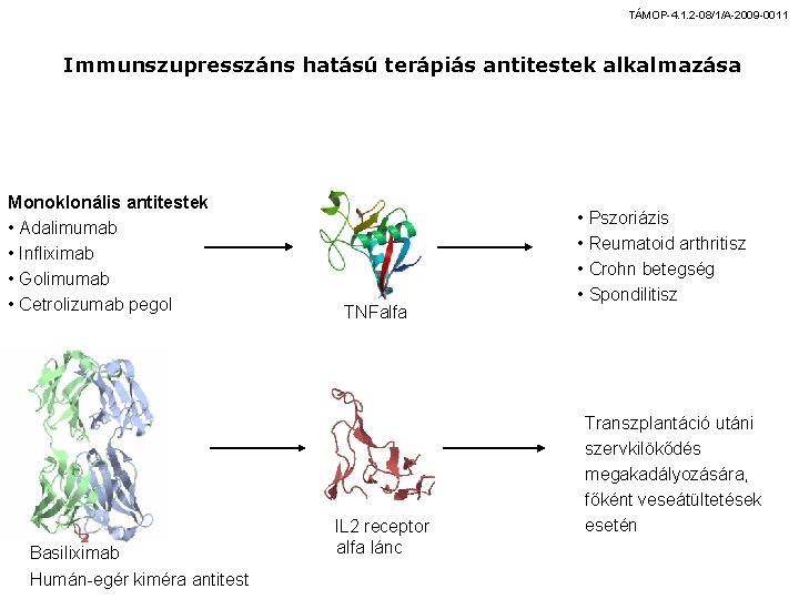 TÁMOP-4. 1. 2 -08/1/A-2009 -0011 Immunszupresszáns hatású terápiás antitestek alkalmazása Monoklonális antitestek • Adalimumab