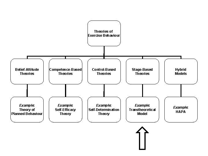 Theories of Exercise Behaviour Belief-Attitude Theories Competence-Based Theories Control-Based Theories Stage-Based Theories Hybrid Models