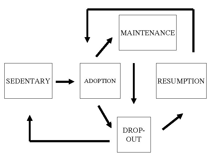 MAINTENANCE SEDENTARY RESUMPTION ADOPTION DROPOUT 