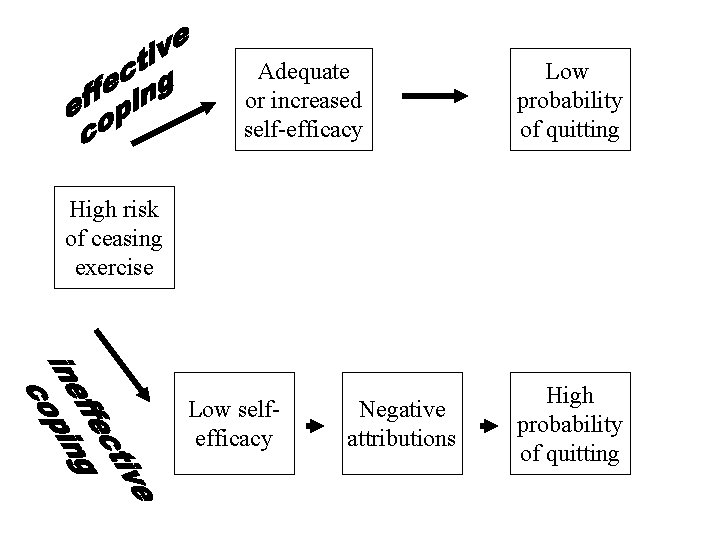 Adequate or increased self-efficacy Low probability of quitting High risk of ceasing exercise Low