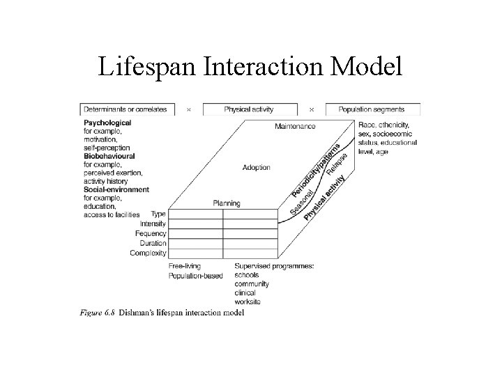 Lifespan Interaction Model (to be inserted by publisher? ) 