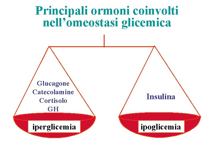 Principali ormoni coinvolti nell’omeostasi glicemica Glucagone Catecolamine Cortisolo GH Insulina iperglicemia ipoglicemia 