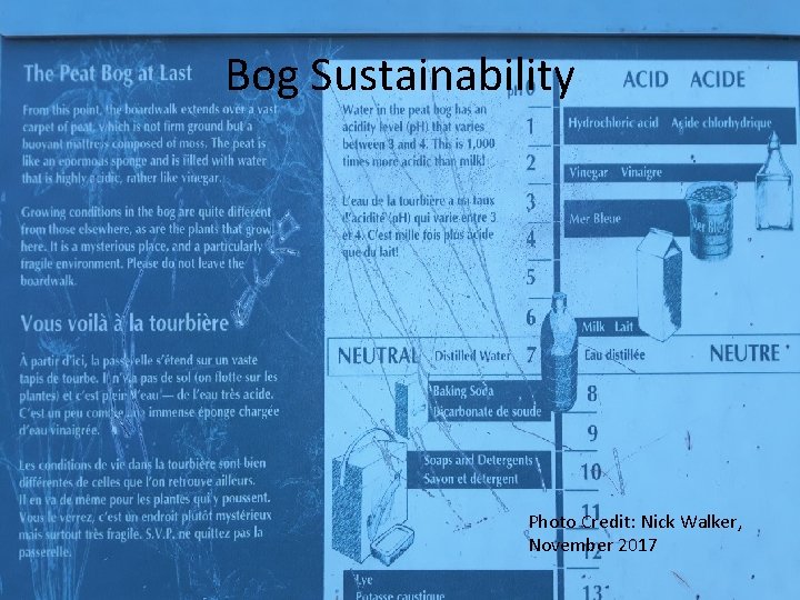 Bog Sustainability Photo Credit: Nick Walker, November 2017 