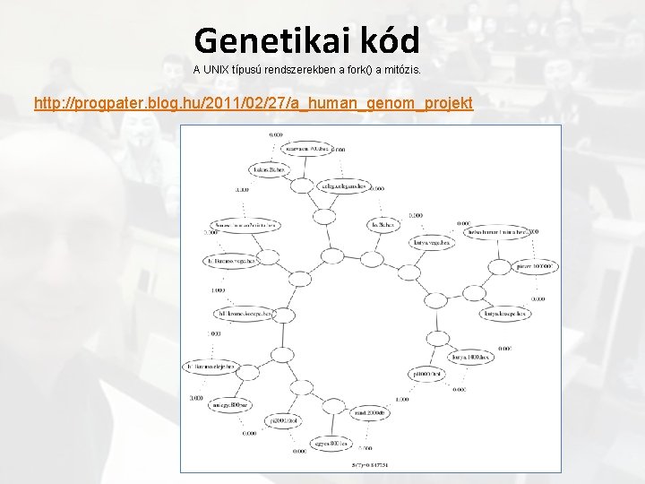 Genetikai kód A UNIX típusú rendszerekben a fork() a mitózis. http: //progpater. blog. hu/2011/02/27/a_human_genom_projekt