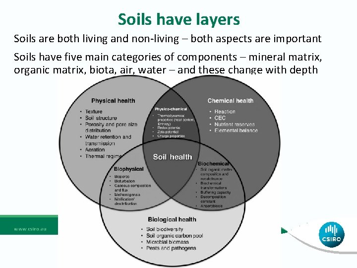 Soils have layers Soils are both living and non-living – both aspects are important