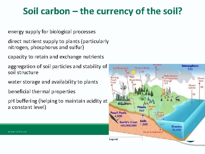 Soil carbon – the currency of the soil? energy supply for biological processes direct