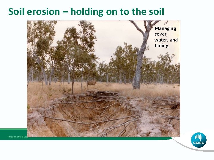 Soil erosion – holding on to the soil Managing cover, water, and timing 