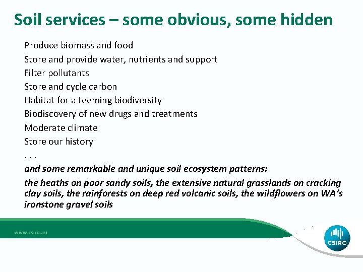Soil services – some obvious, some hidden Produce biomass and food Store and provide